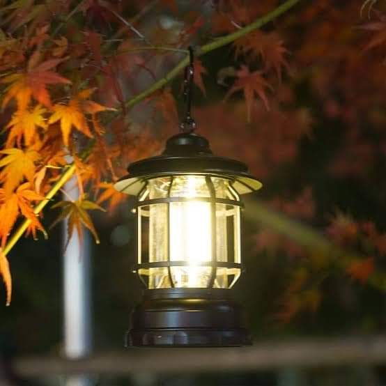 Campaign Lamp(Reachable)
