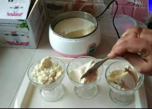 অটো দই মেকার(automatic yogurt maker)