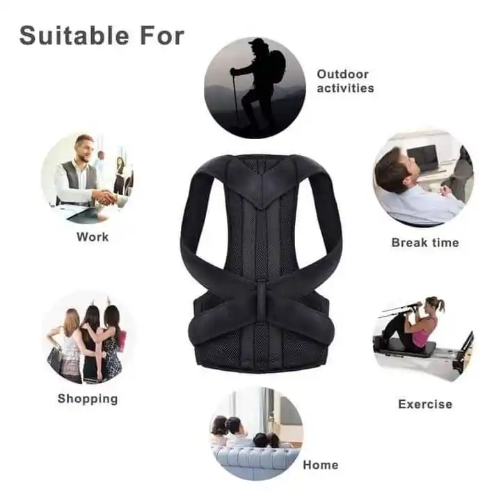 Back support Belt